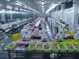 食品加工廠新工廠規(guī)劃的要點(diǎn)有哪些？