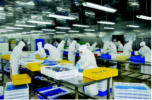 食品加工廠新工廠規(guī)劃方案該怎么寫？